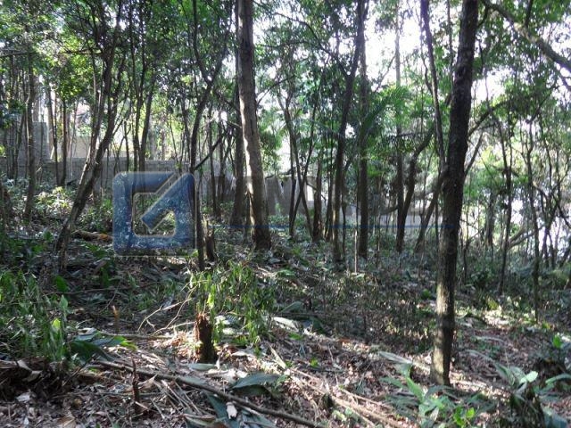 4124, Terreno, à venda, à venda, 230.000,00,Jardim Tupã, São Bernardo do Campo,: SAM_0834