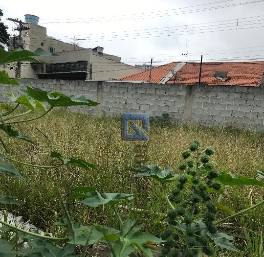 4238, Terreno, à venda, à venda, 1.700.000,00,Casa Branca, Santo André,: IMG-4192