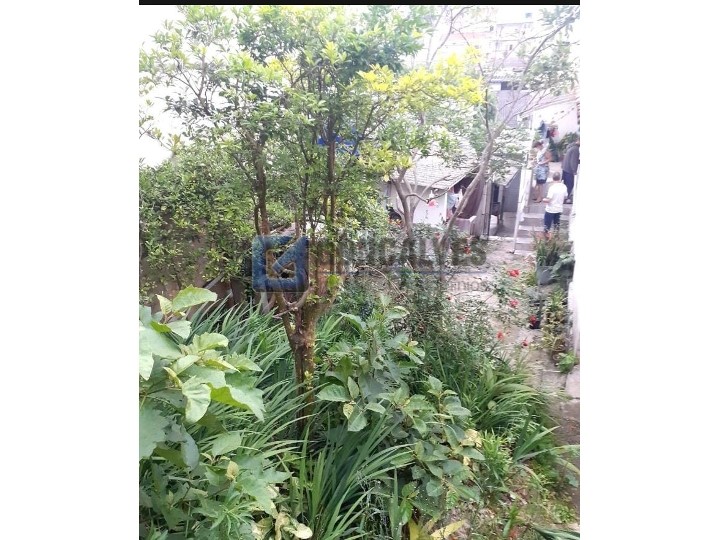 4299, Terreno, à venda, à venda, 560.000,00,Vila Eldízia, Santo André,: IMG-20211126-WA0012