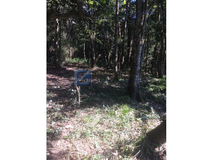 4346, Terreno, à venda, à venda, 350.000,00,RIACHO GRANDE, São Bernardo do Campo,: WhatsApp Image 2022-01-06 at 11