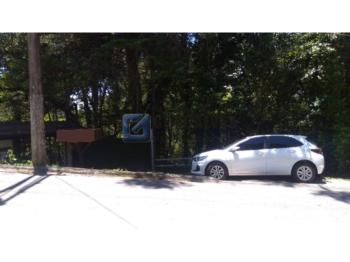 4403, Terreno, à venda, à venda, 250.000,00,JAGUARIBE, CAMPOS DO JORDAO,: WhatsApp Image 2022-02-16 at 11