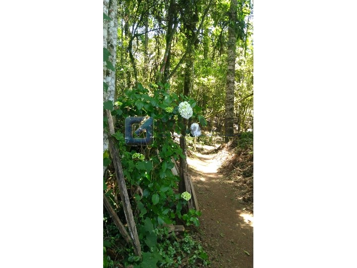 4403, Terreno, à venda, à venda, 250.000,00,JAGUARIBE, CAMPOS DO JORDAO,: WhatsApp Image 2022-02-16 at 11