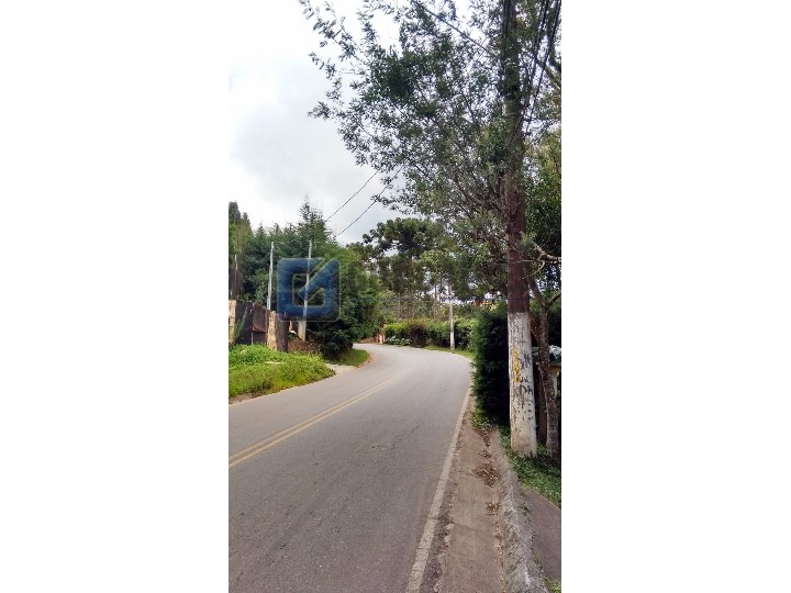 4403, Terreno, à venda, à venda, 250.000,00,JAGUARIBE, CAMPOS DO JORDAO,: WhatsApp Image 2022-02-16 at 11