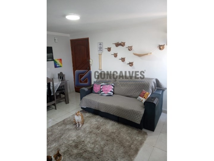 4442, Apartamento, à venda, à venda, 240.000,00,Jardim Alvorada, Santo André,2 quartos: A (3)