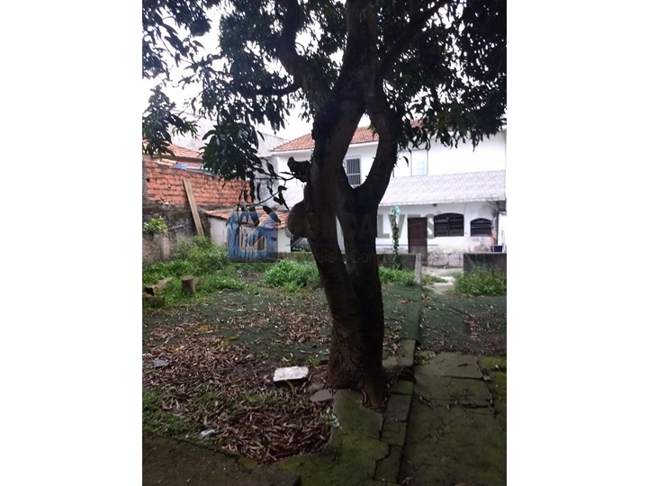 4799, Terreno, à venda, à venda, 2.000.000,00,Vila Formosa, São Paulo,: B (33)