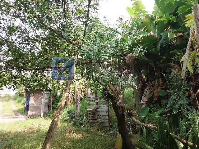 489, Terreno, à venda, à venda, 760.000,00,Batistini, São Bernardo do Campo,: 20190524_105202