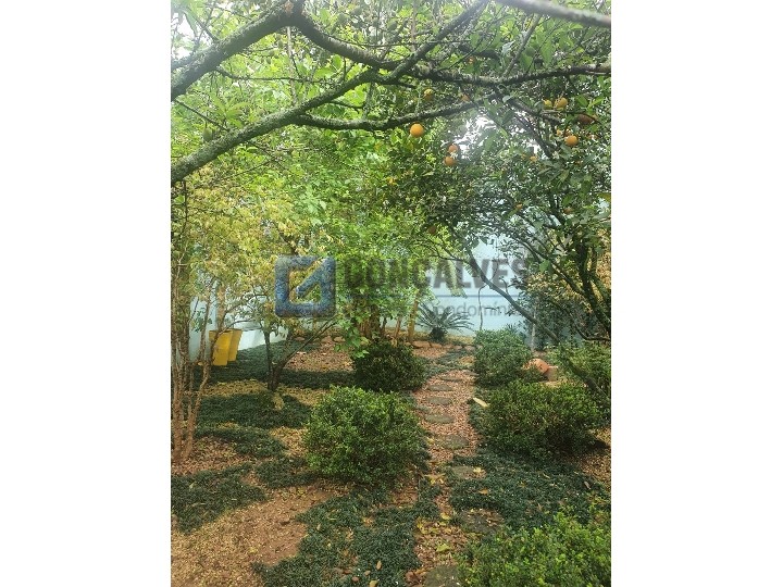 519, Sobrado, à venda, à venda, 3.200.000,00,Dos Casa, São Bernardo do Campo,3 quartos: IMG-20211022-WA0018