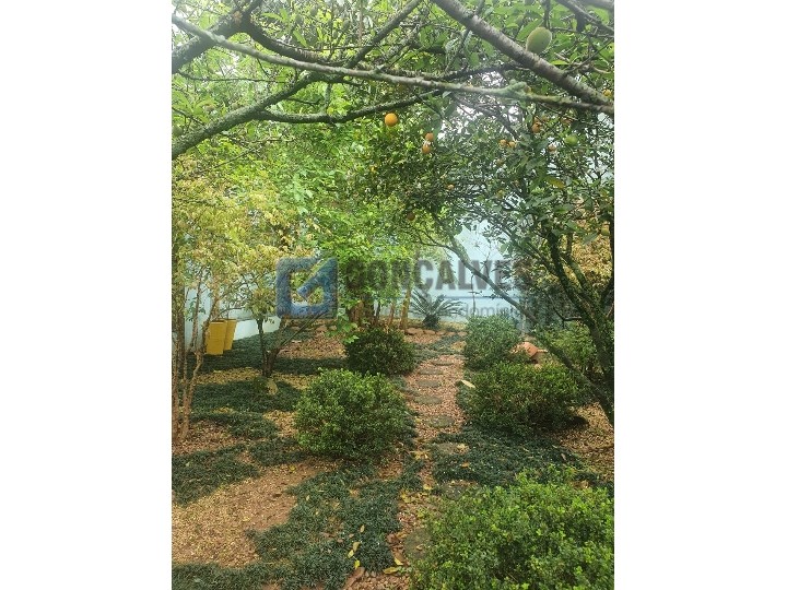 519, Sobrado, à venda, à venda, 3.200.000,00,Dos Casa, São Bernardo do Campo,3 quartos: IMG-20211022-WA0020