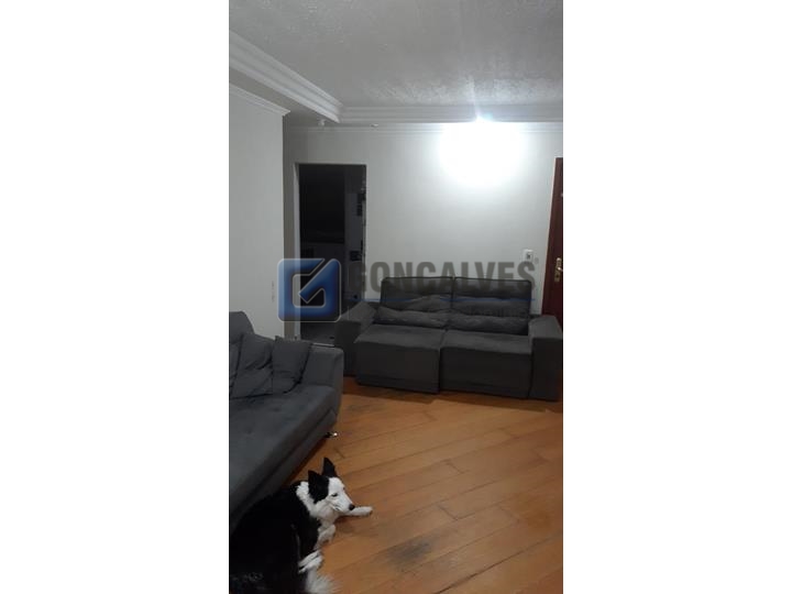 5268, Apartamento, à venda, à venda, 590.000,00,Anchieta, São Bernardo do Campo,3 quartos: A (31)