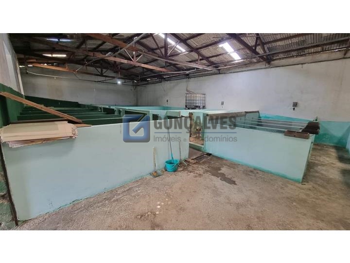 5565, Galpão, à venda, à venda, 1.000.000,00,Batistini, São Bernardo do Campo,: A (51)