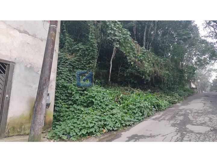 6258, Terreno, à venda, à venda, 130.000,00,Recreio da Borda do Campo, Santo André,: A (32)