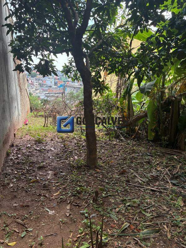 6353, Terreno, à venda, à venda, 267.000,00,Canhema, Diadema,: 