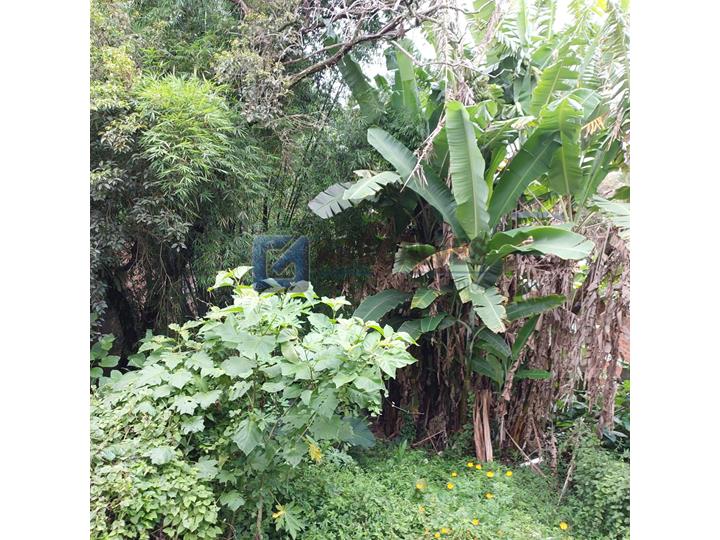 6556, Terreno, à venda, à venda, 532.000,00,JARDIM SANTO INACIO, São Bernardo do Campo,: A (67)