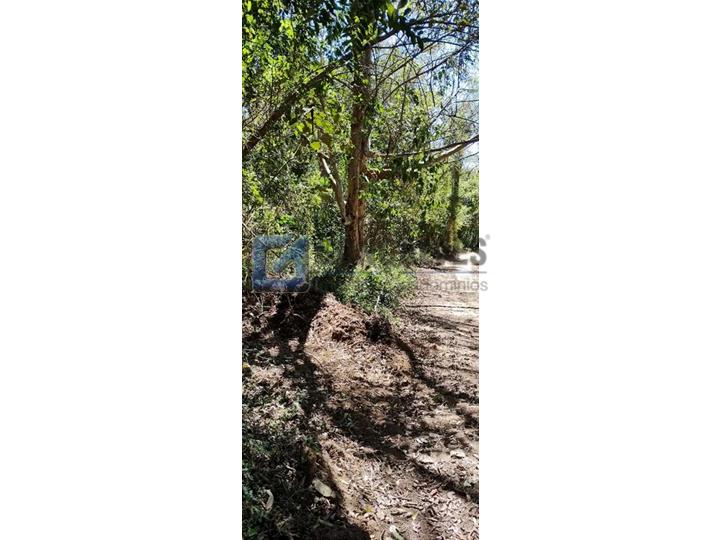 6629, Terreno, à venda, à venda, 445.000,00,Centro de Ouro Fino Paulista, Ribeirão Pires,: A (15)