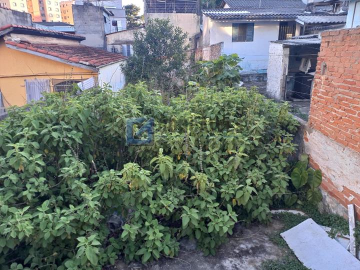 6686, Terreno, à venda, à venda, 370.000,00,Vila Eldízia, Santo André,: A (30)