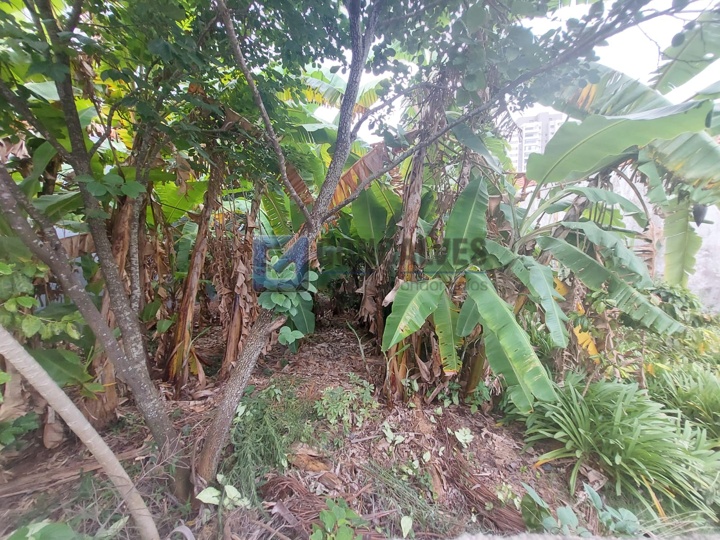 7057, Terreno, à venda, à venda, 950.000,00,Paraíso, Santo André,: A (32)