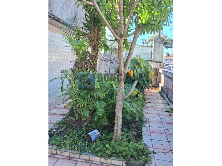 7338, Terreno, à venda, à venda, 958.000,00,Assunção, São Bernardo do Campo,: A (50)