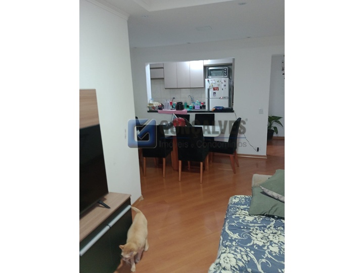 7370, Apartamento, à venda, à venda, 428.000,00,Vila Mazzei, São Paulo,2 quartos: A (21)