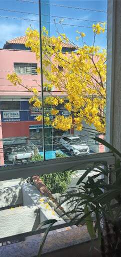 Apartamento à venda no Vila Humaitá: 