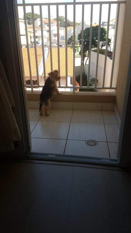 Apartamento à venda no Vila Valparaíso: 