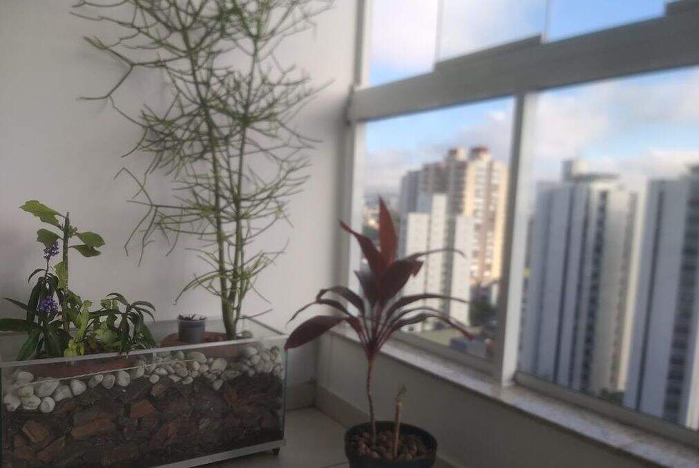 Apartamento à venda no Vila Baeta Neves: 