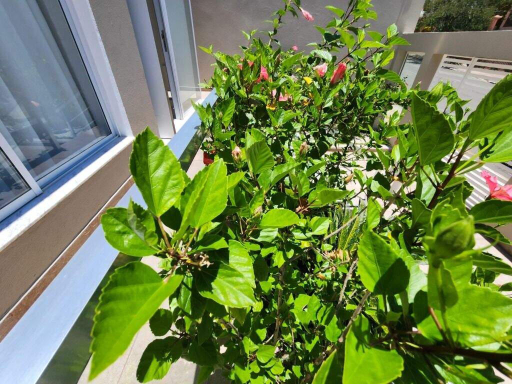 Casa à venda no Parque dos Pássaros: 