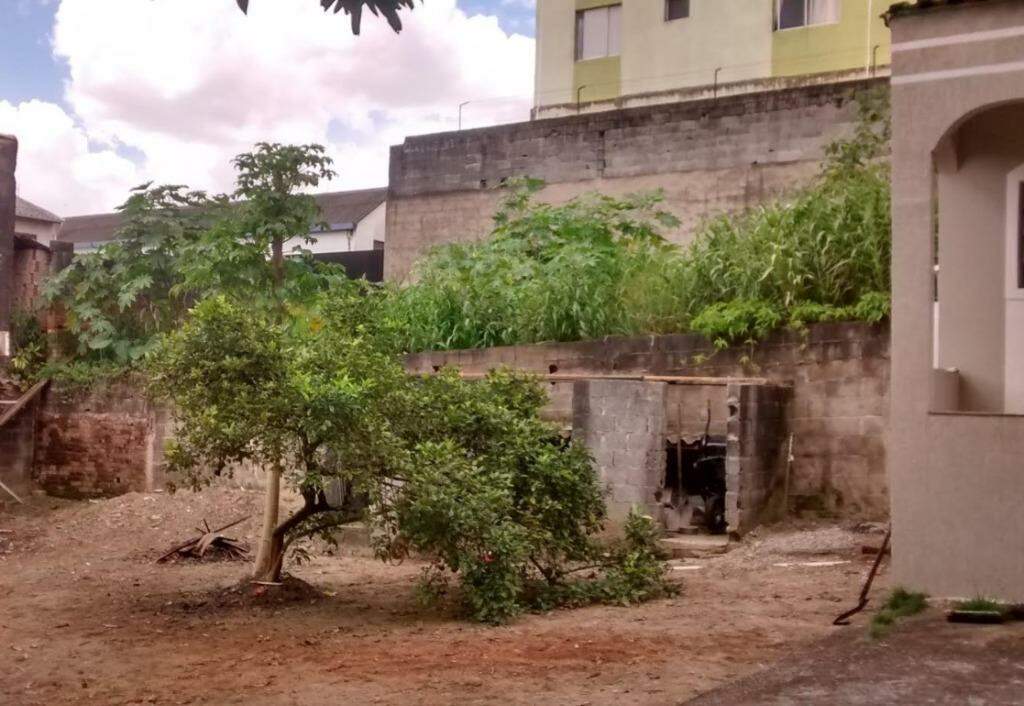 Terreno à venda no Vila Santa Luzia: 