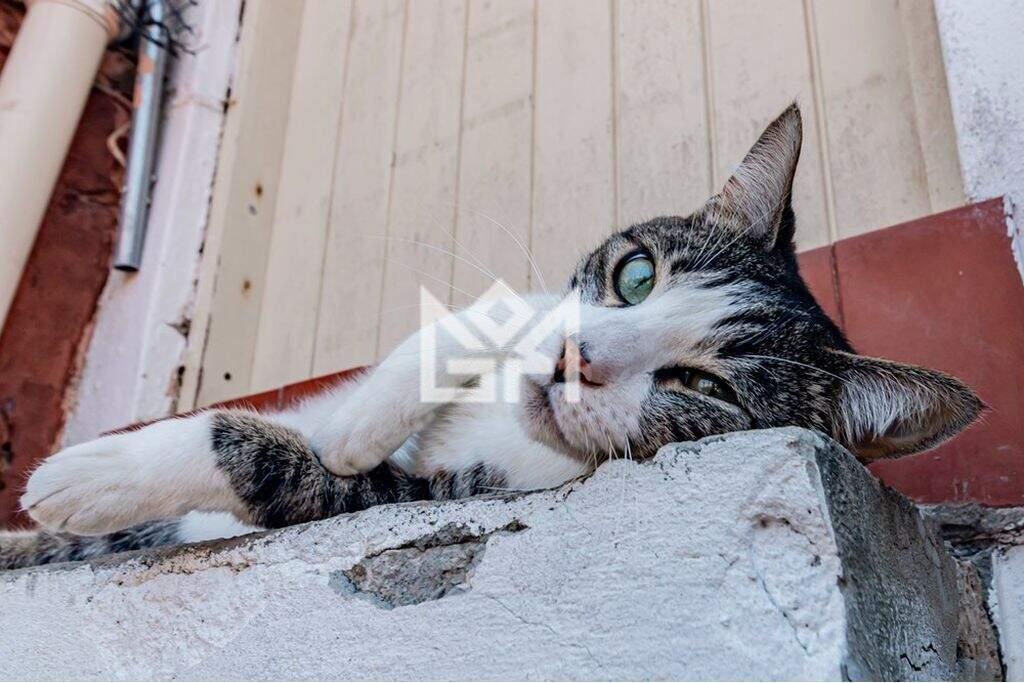 Casa com 3 quartos à venda, 153m² - Petrópolis - Porto Alegre: 