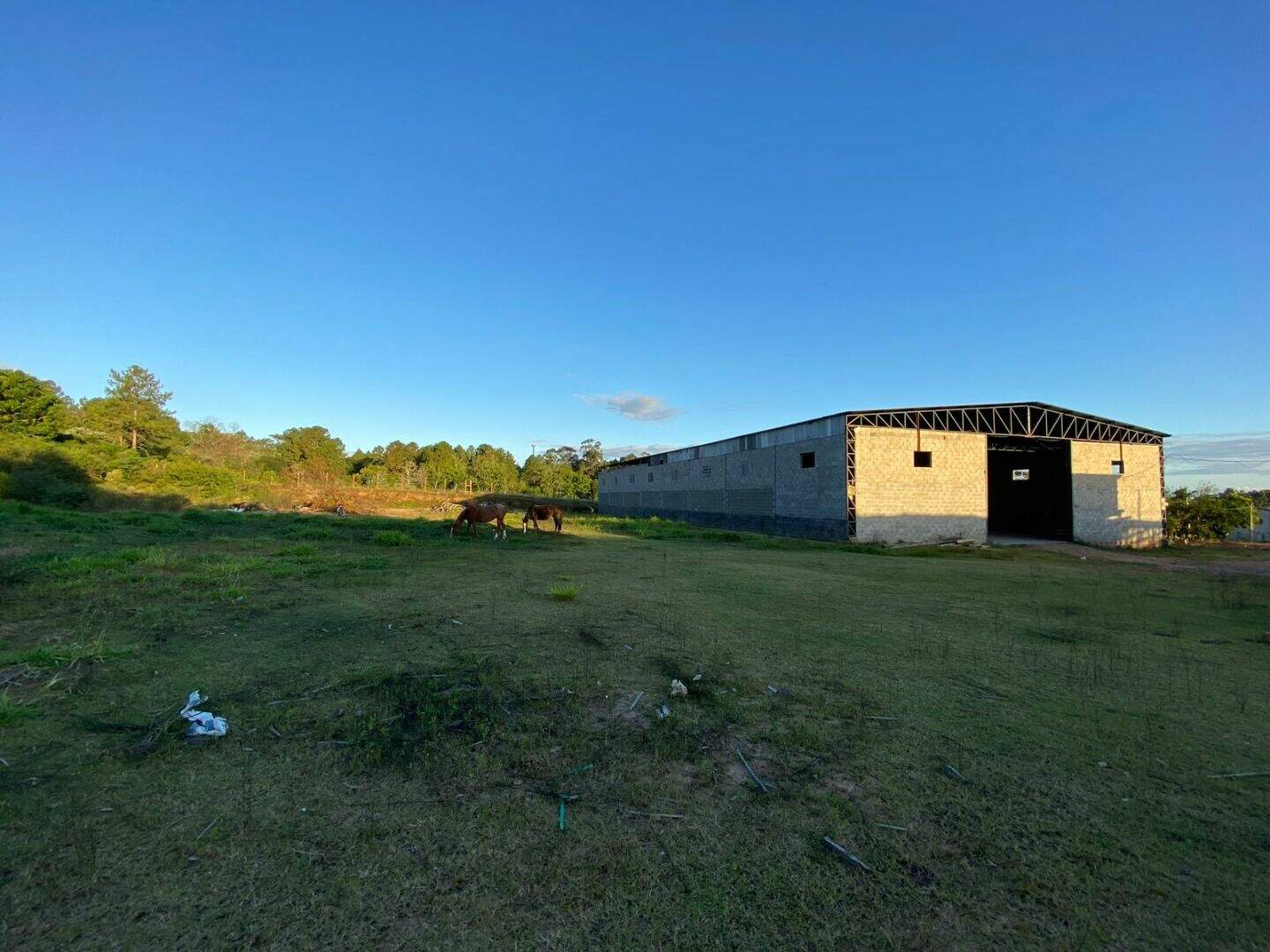 Pavilhão/Galpão/Depósito/Armazém com para aluguel, 1.700m² - Lageado - Porto Alegre: 