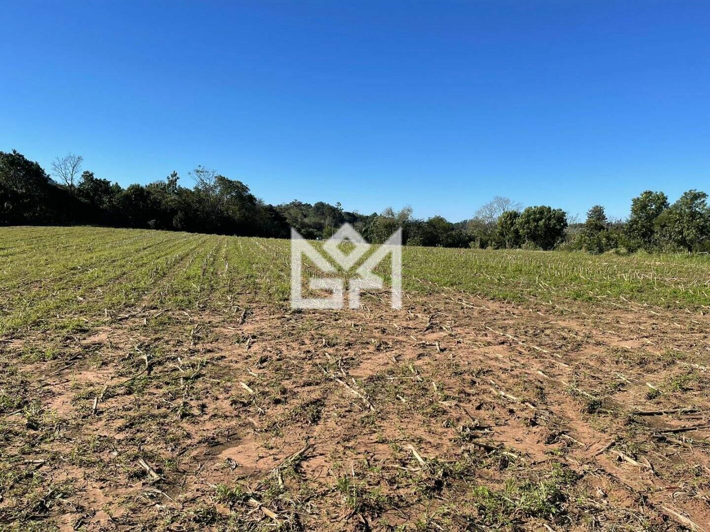 Chácara/Sítio/Fazenda com à venda, 25.000m² - Parque Itacolomi - Gravataí: 