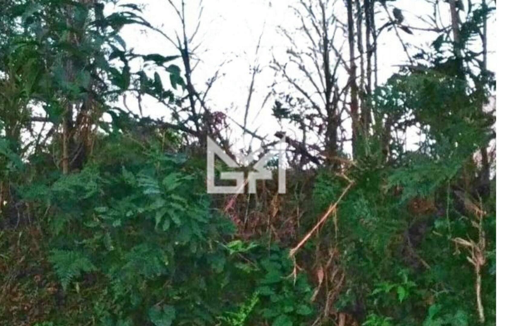 Terreno/Lote com à venda, 300m² - Parque Itacolomi - Gravataí: 