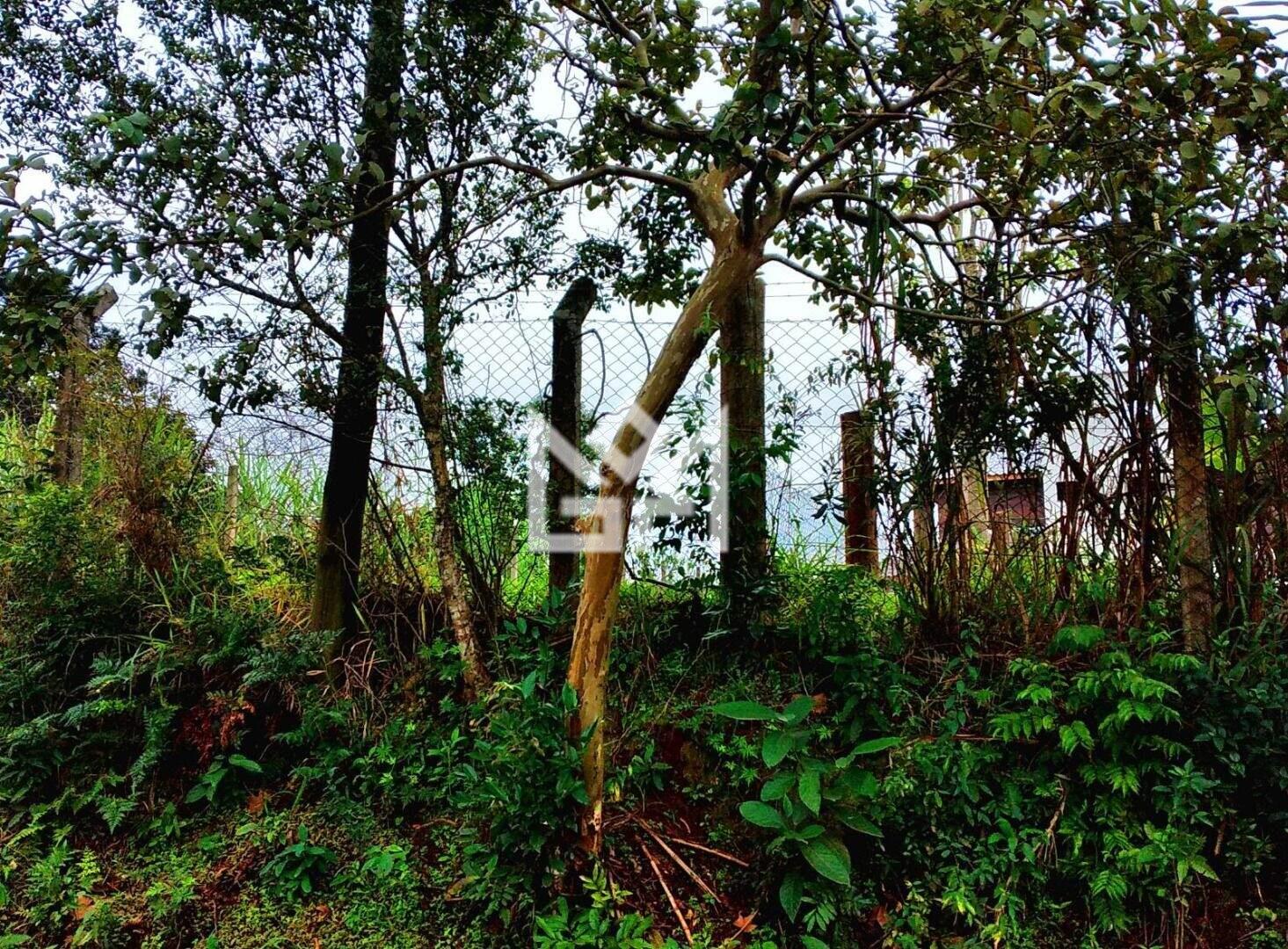 Terreno/Lote com à venda, 300m² - Parque Itacolomi - Gravataí: 