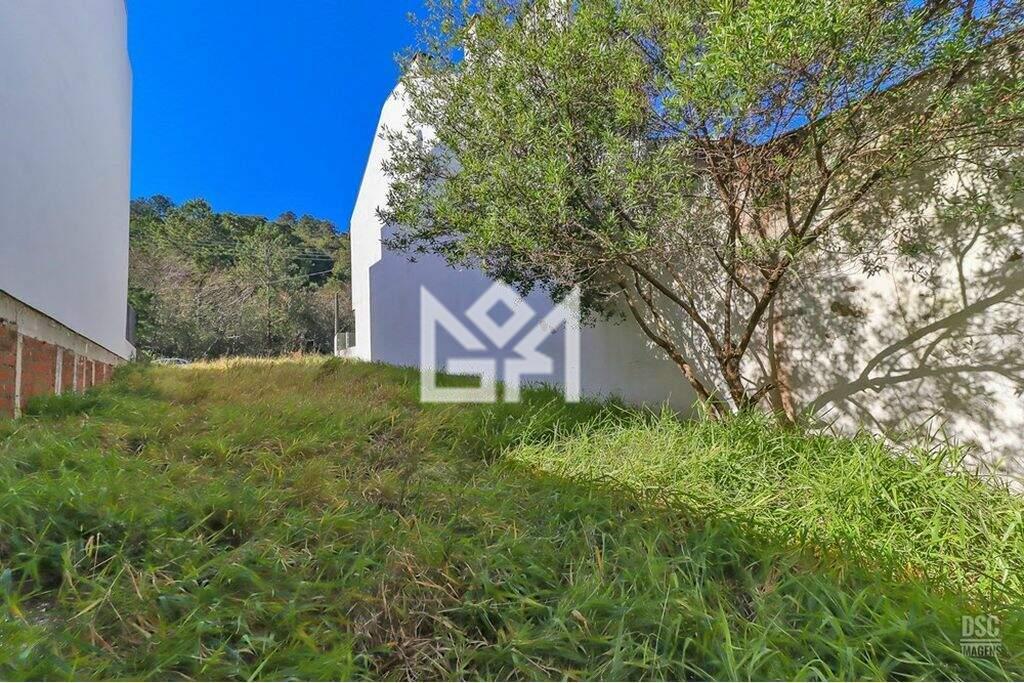 Terreno/Lote com à venda, 224m² - Guarujá - Porto Alegre: 