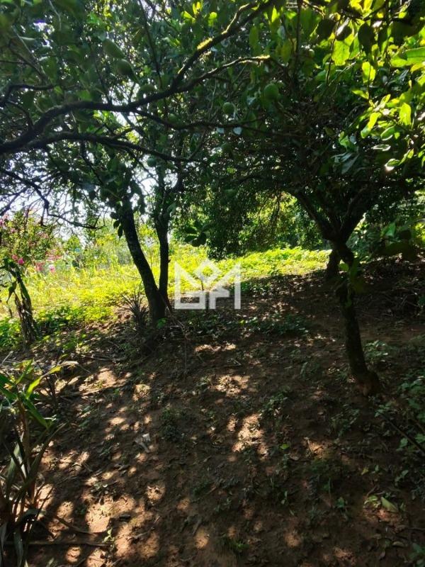 Chácara/Sítio/Fazenda com 1 quarto à venda, 2.500m² - Cadiz - Gravataí: 