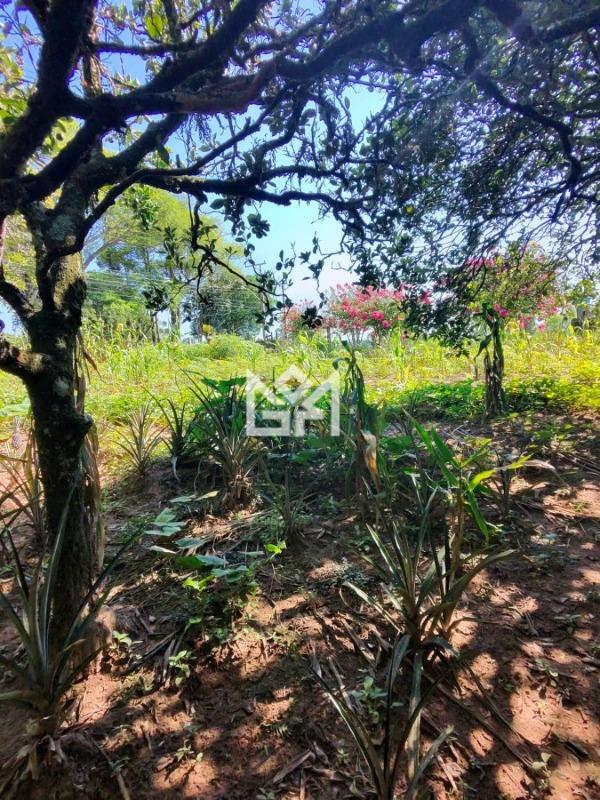 Chácara/Sítio/Fazenda com 1 quarto à venda, 2.500m² - Cadiz - Gravataí: 