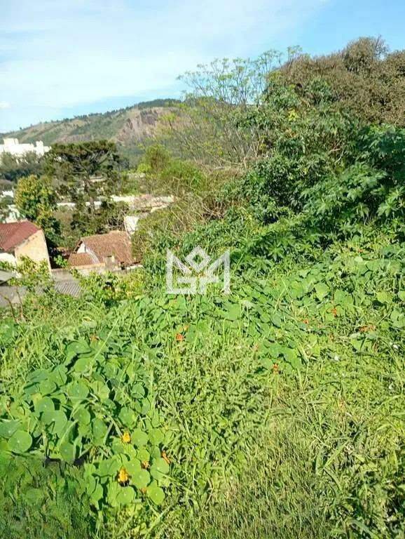 Terreno/Lote com à venda, 0m² - Jardim Carvalho - Porto Alegre: 