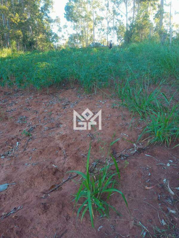 Terreno/Lote com à venda, 0m² - Bom Retiro - Eldorado do Sul: 