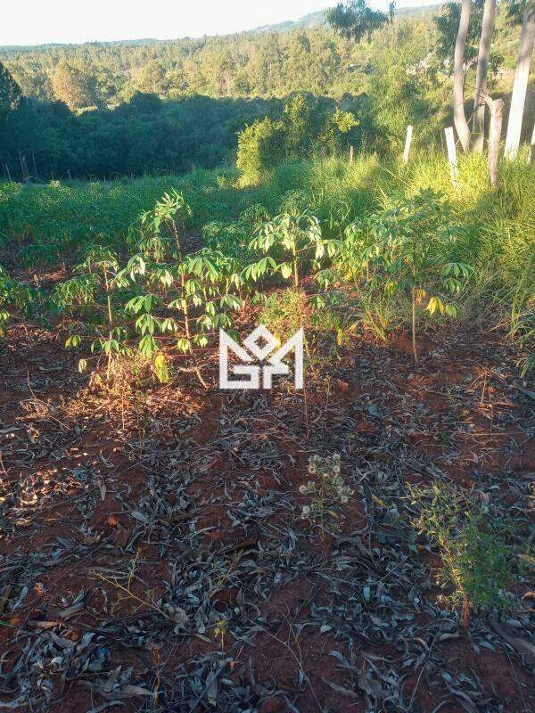 Terreno/Lote com à venda, 0m² - Bom Retiro - Eldorado do Sul: 