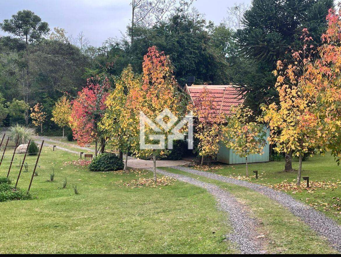 Chácara/Sítio/Fazenda com 10 quartos à venda, 300m² - Área Rural de Gramado - Gramado: 