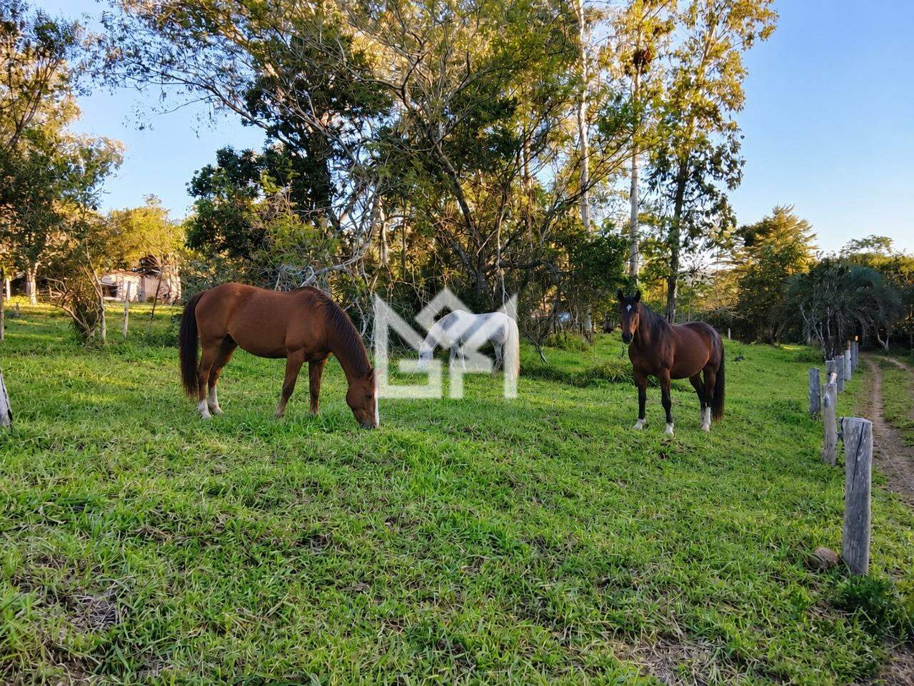 Terreno/Lote com à venda, 0m² - Canta Galo (Itapuã) - Viamão: 