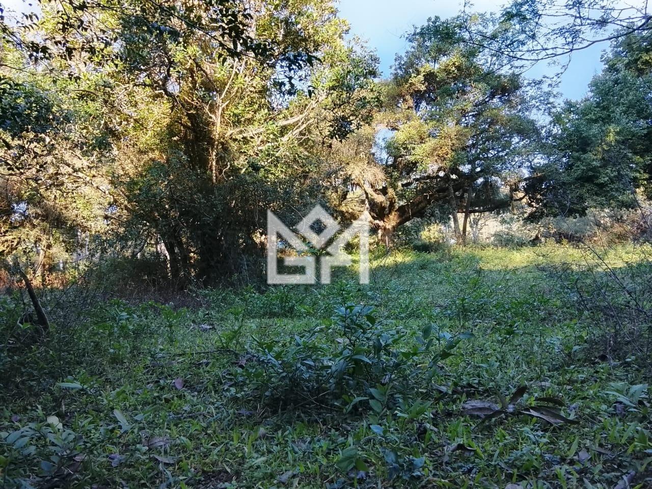 Terreno/Lote com à venda, 0m² - Canta Galo (Itapuã) - Viamão: 