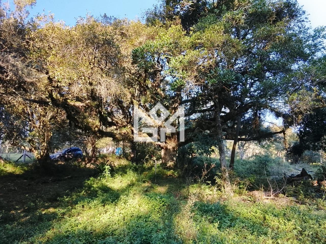 Terreno/Lote com à venda, 0m² - Canta Galo (Itapuã) - Viamão: 