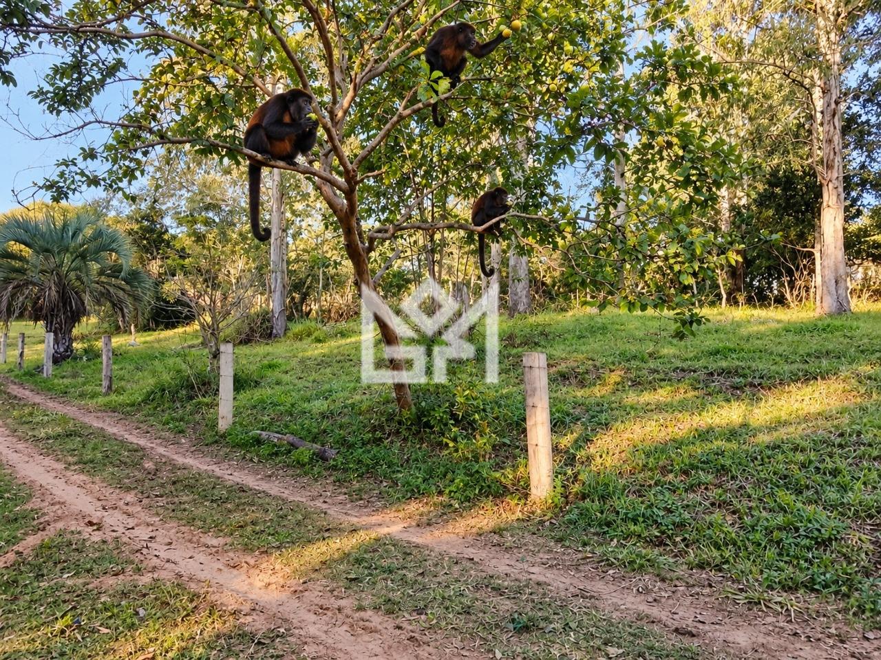 Terreno/Lote com à venda, 0m² - Canta Galo (Itapuã) - Viamão: 