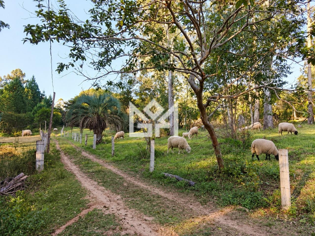 Terreno/Lote com à venda, 0m² - Canta Galo (Itapuã) - Viamão: 