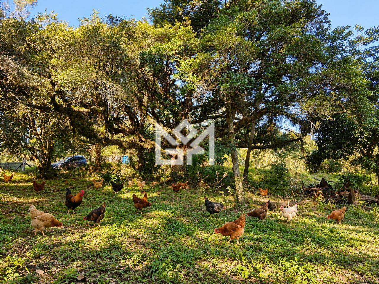 Terreno/Lote com à venda, 0m² - Canta Galo (Itapuã) - Viamão: 