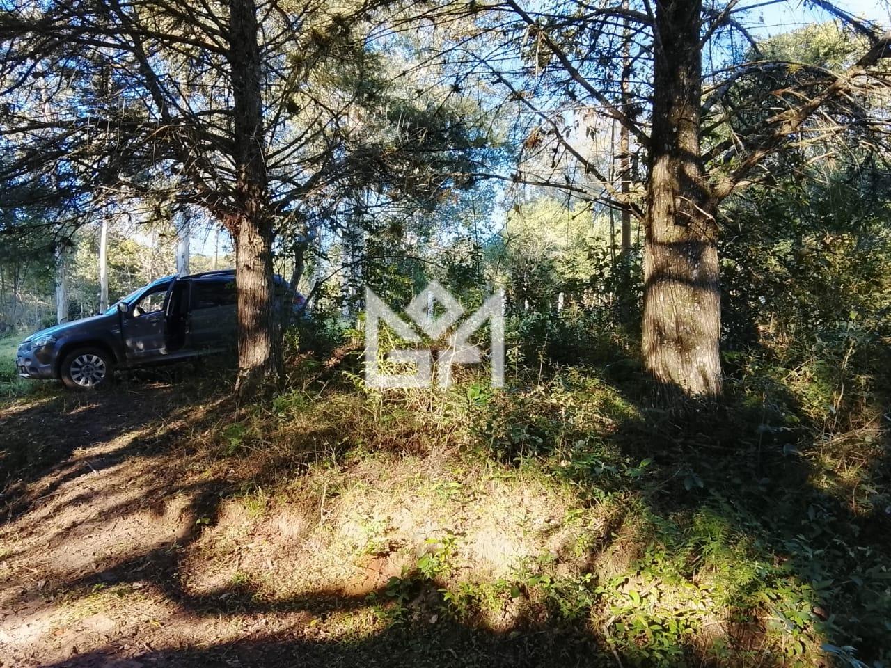 Terreno/Lote com à venda, 0m² - Canta Galo (Itapuã) - Viamão: 