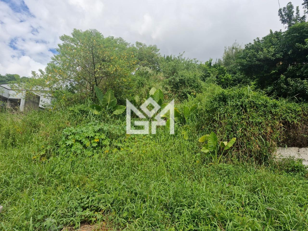 Terreno/Lote com à venda, 600m² - Bom Jesus - Porto Alegre: 