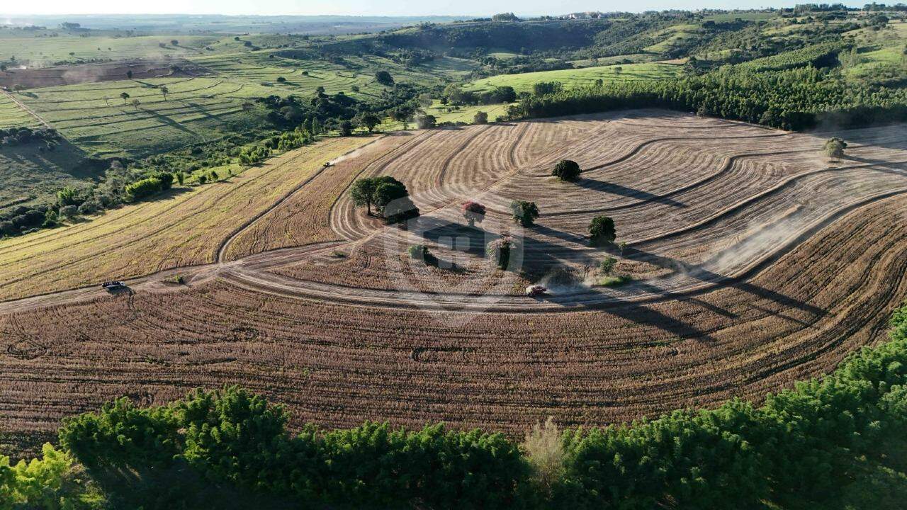 Rancho à Venda no Zona Rural em Echaporã/SP