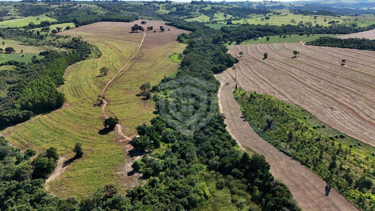 Rancho à Venda no Zona Rural em Echaporã/SP