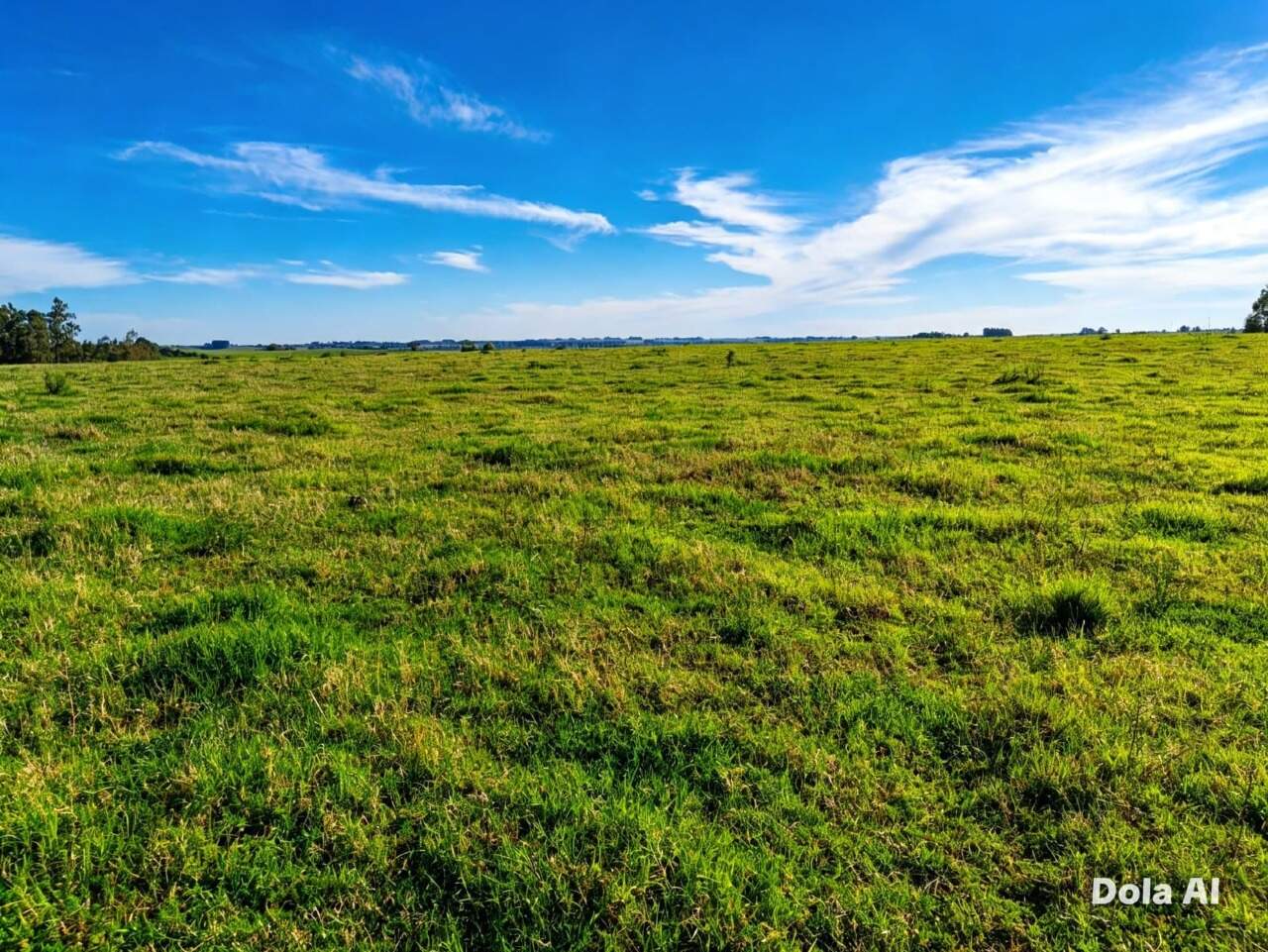 AREA RURAL à venda no INTERIOR : 